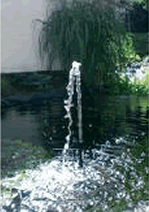 pompe solaire  jet d'eau vertical en surface de bassin